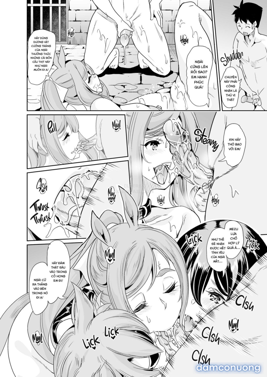 Dàn harem của tôi ở thế giới khác 