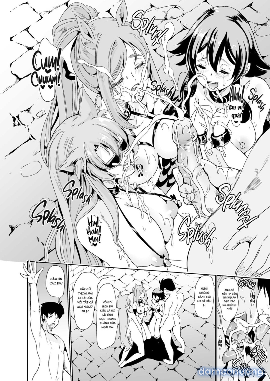 Dàn harem của tôi ở thế giới khác 
