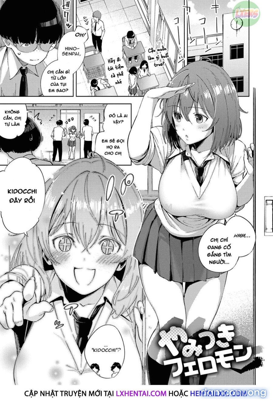 Yamitsuki Pheromone | Addictive Pheromone 