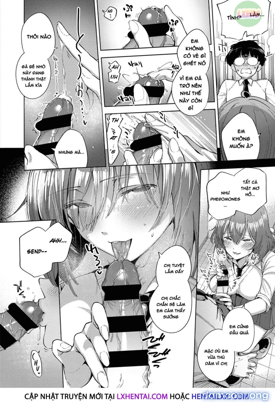 Yamitsuki Pheromone | Addictive Pheromone 