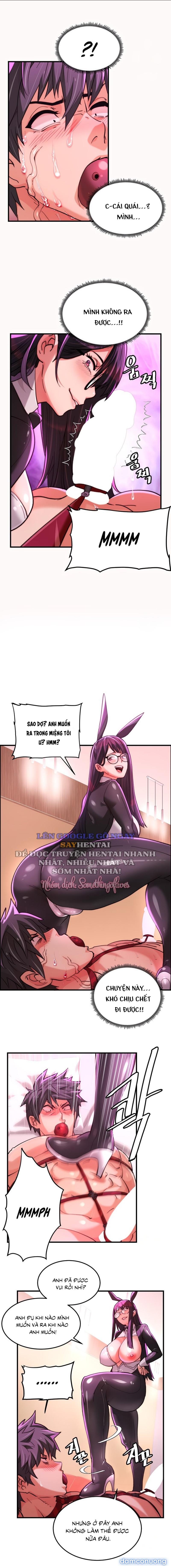 Dịch Vụ Giao Gà Mỹ Mãn 