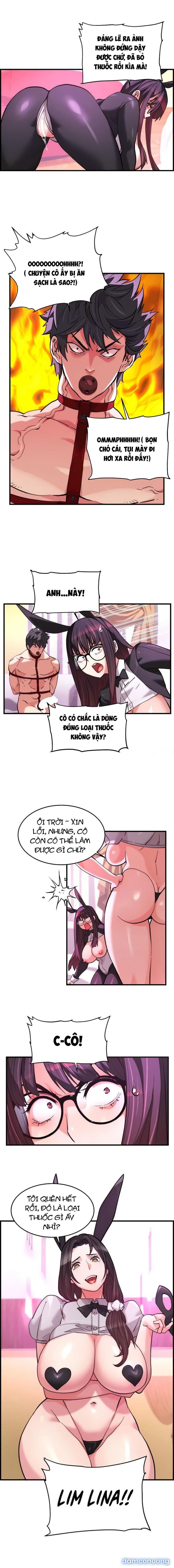 Dịch Vụ Giao Gà Mỹ Mãn 