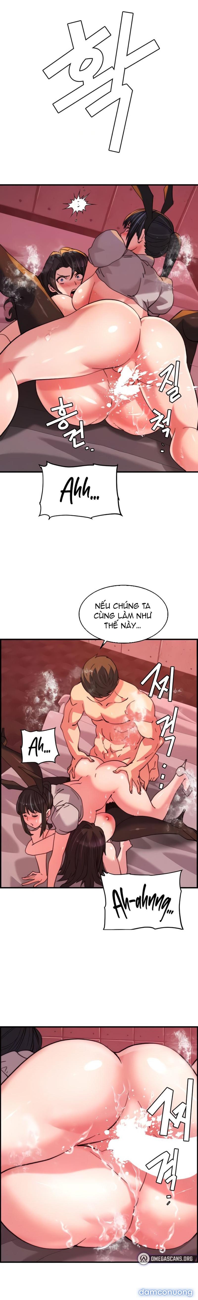 Dịch Vụ Giao Gà Mỹ Mãn 