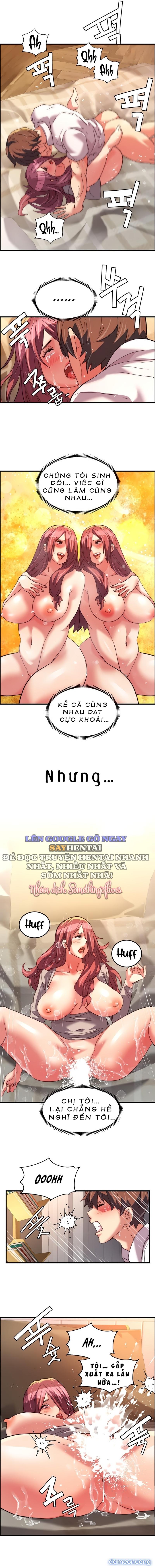Dịch Vụ Giao Gà Mỹ Mãn 