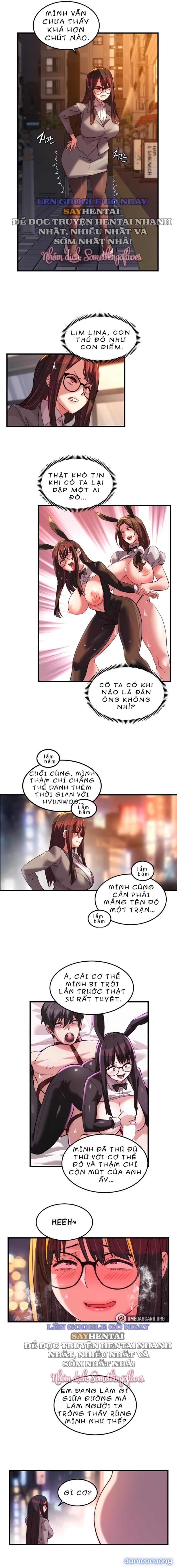 Dịch Vụ Giao Gà Mỹ Mãn 