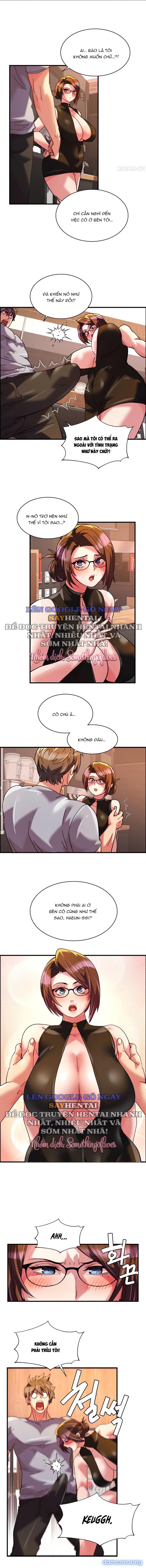 Dịch Vụ Giao Gà Mỹ Mãn 