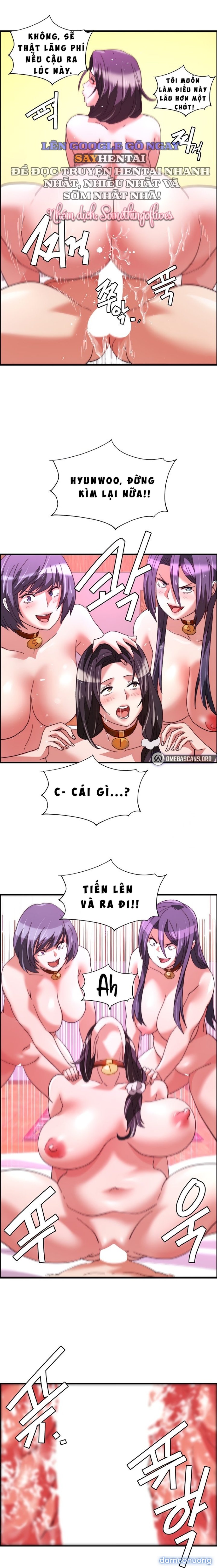 Dịch Vụ Giao Gà Mỹ Mãn 