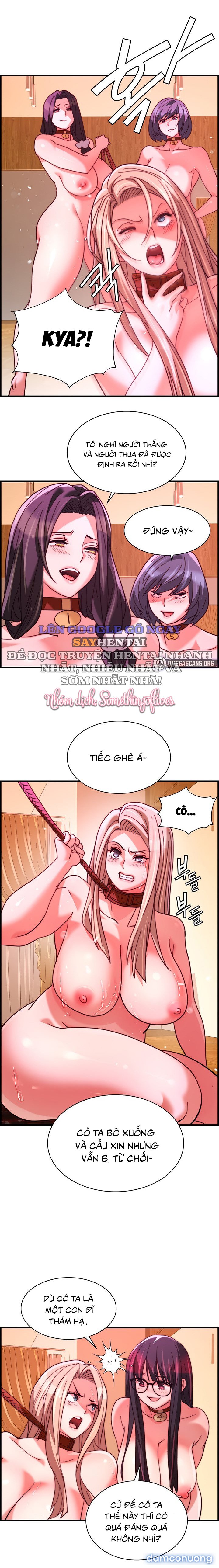 Dịch Vụ Giao Gà Mỹ Mãn 