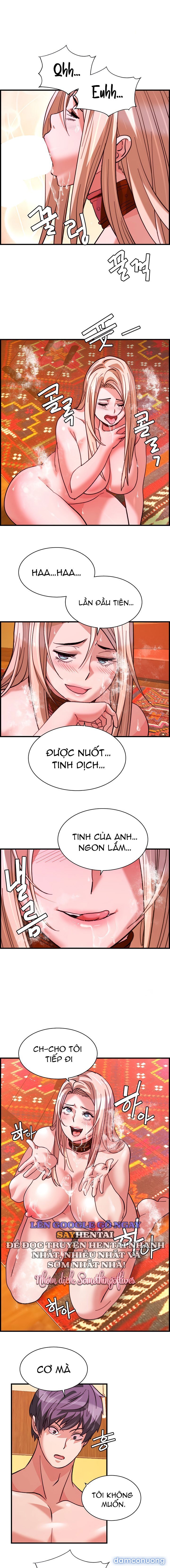 Dịch Vụ Giao Gà Mỹ Mãn 