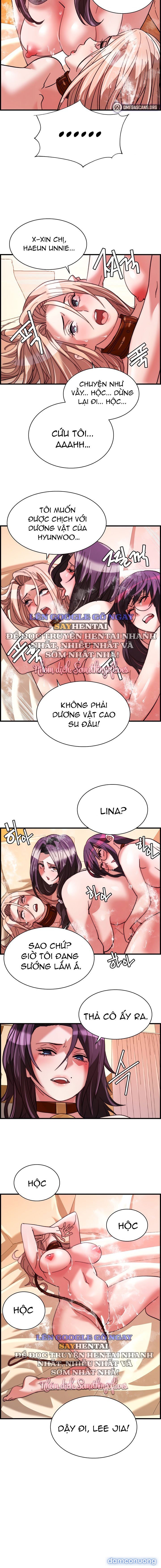 Dịch Vụ Giao Gà Mỹ Mãn 