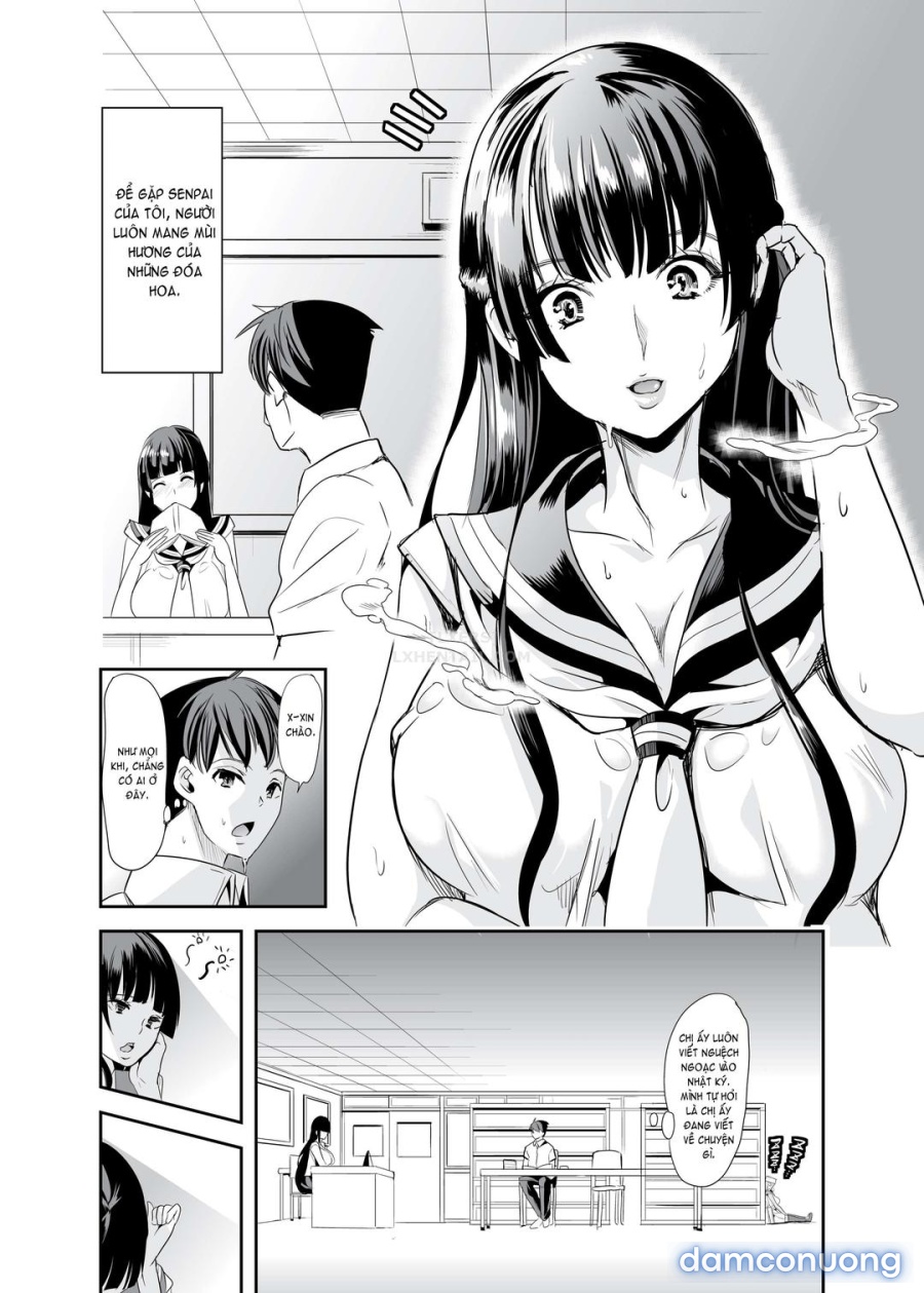 Mùi hương của dàn harem 