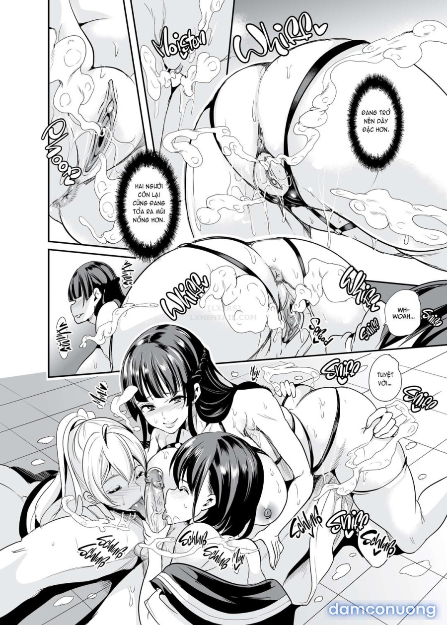 Mùi hương của dàn harem 