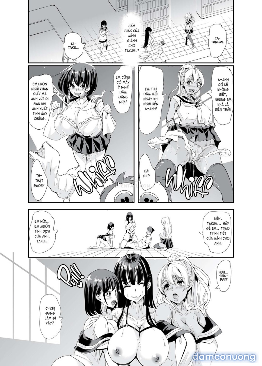 Mùi hương của dàn harem 