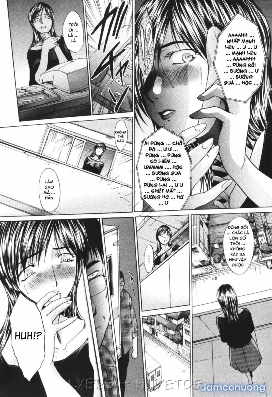 Married Woman Kyouko 