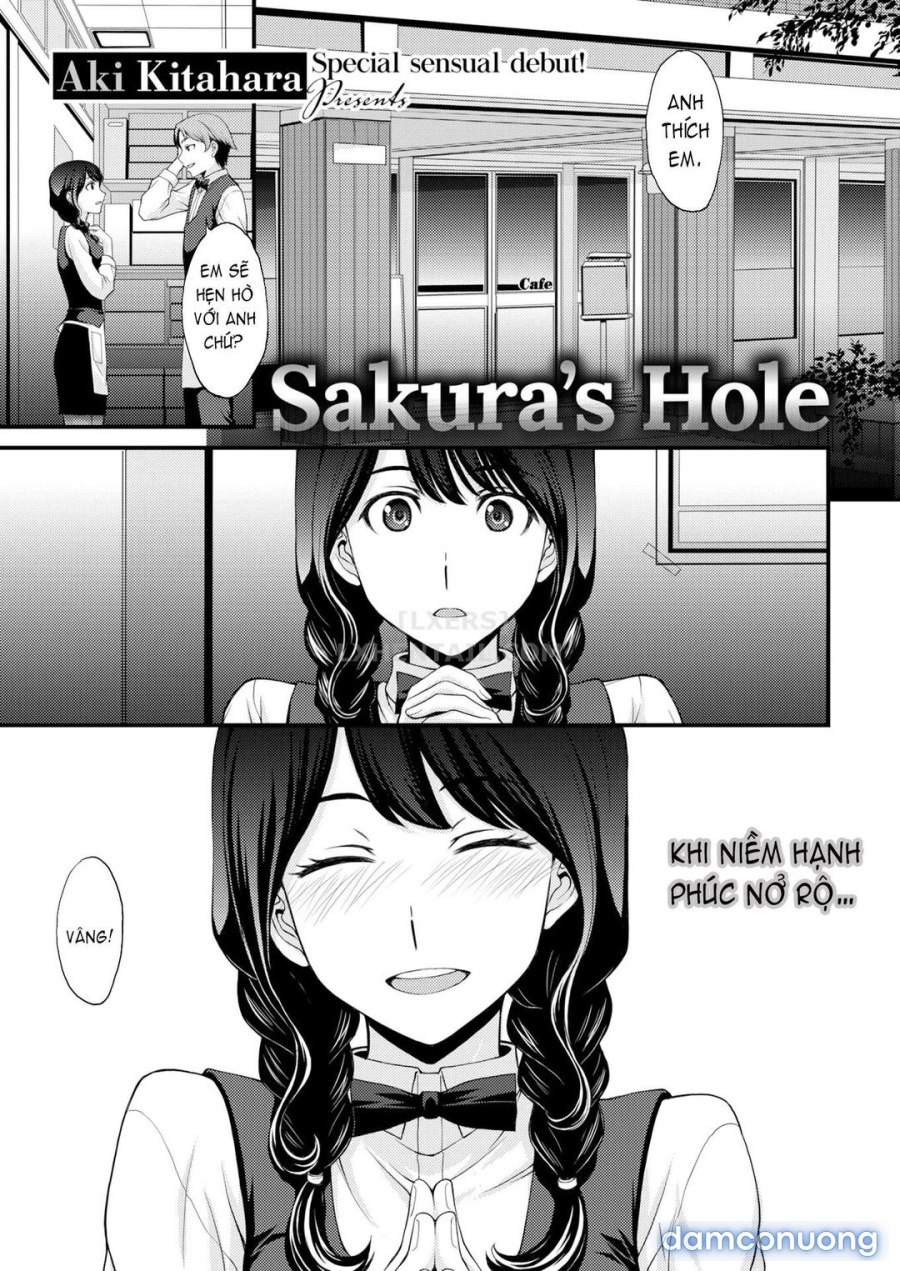Lỗ của Sakura 