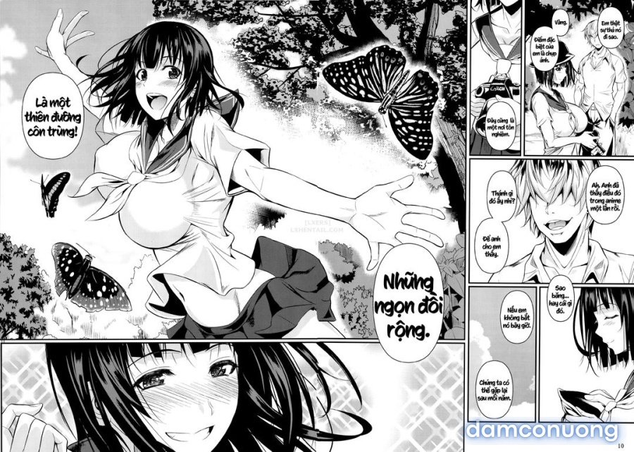 Cô người yêu mê côn trùng 