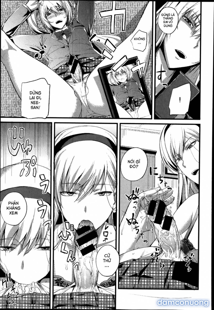 Boku no Shiawase na Shumi 