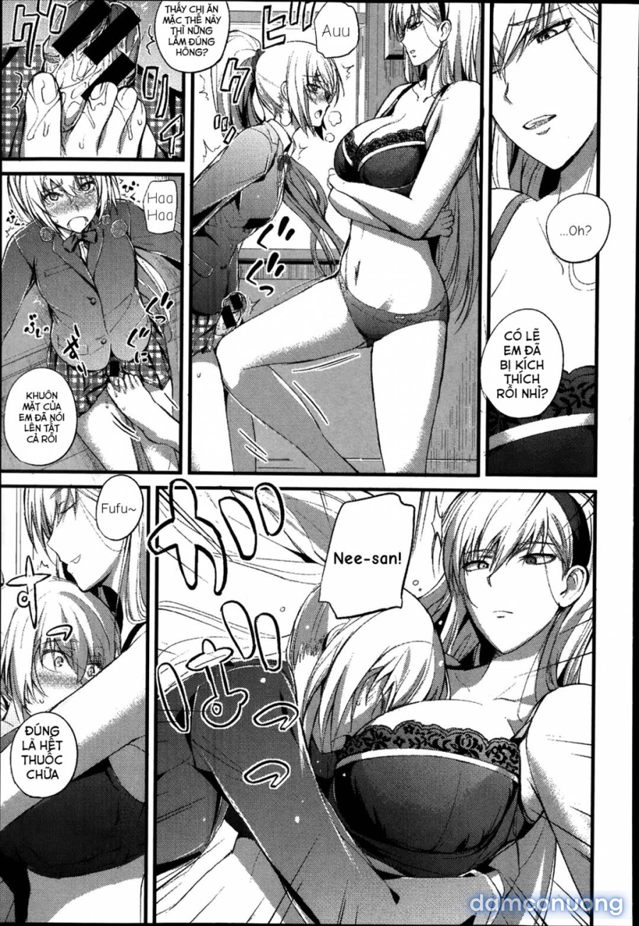 Boku no Shiawase na Shumi 