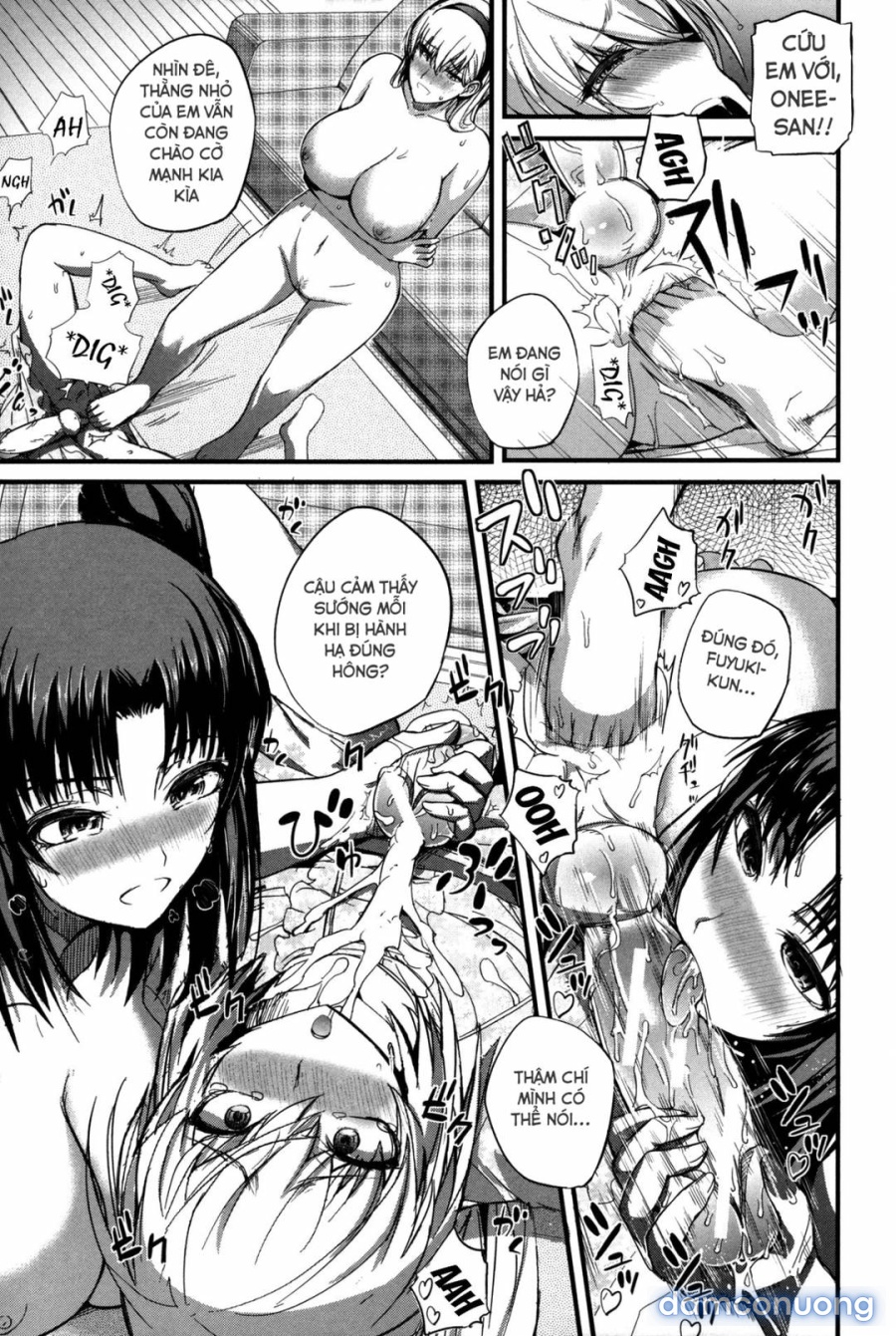 Boku no Shiawase na Shumi 