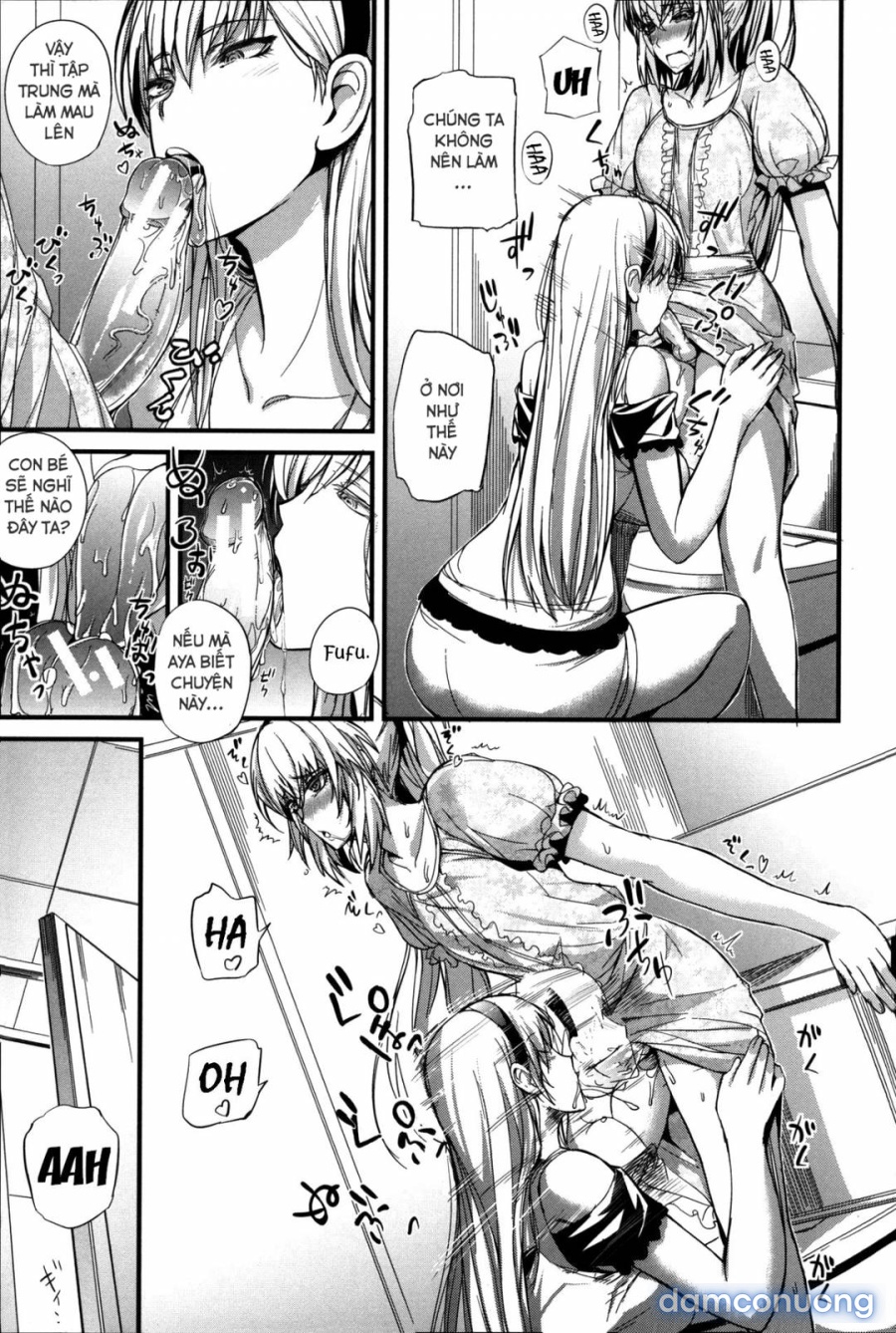Boku no Shiawase na Shumi 