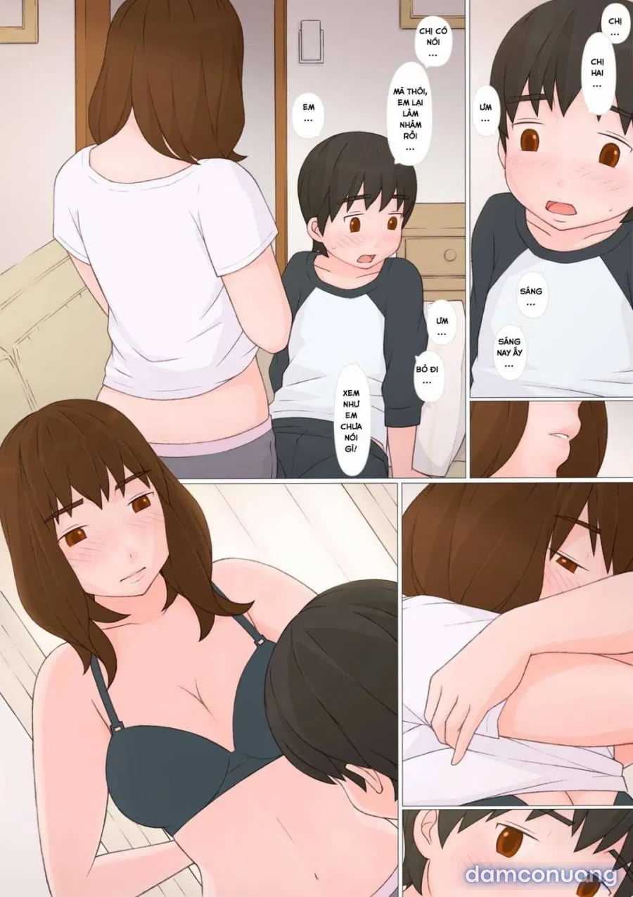 Khi chị hai về nhà 