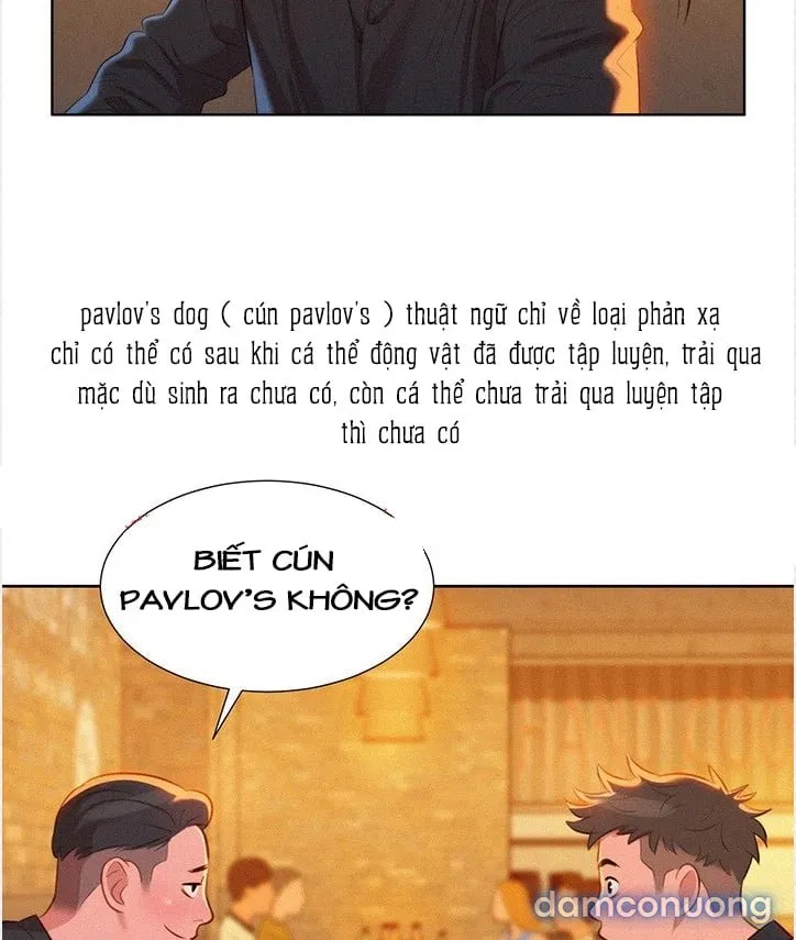 Chị Hàng Xóm 