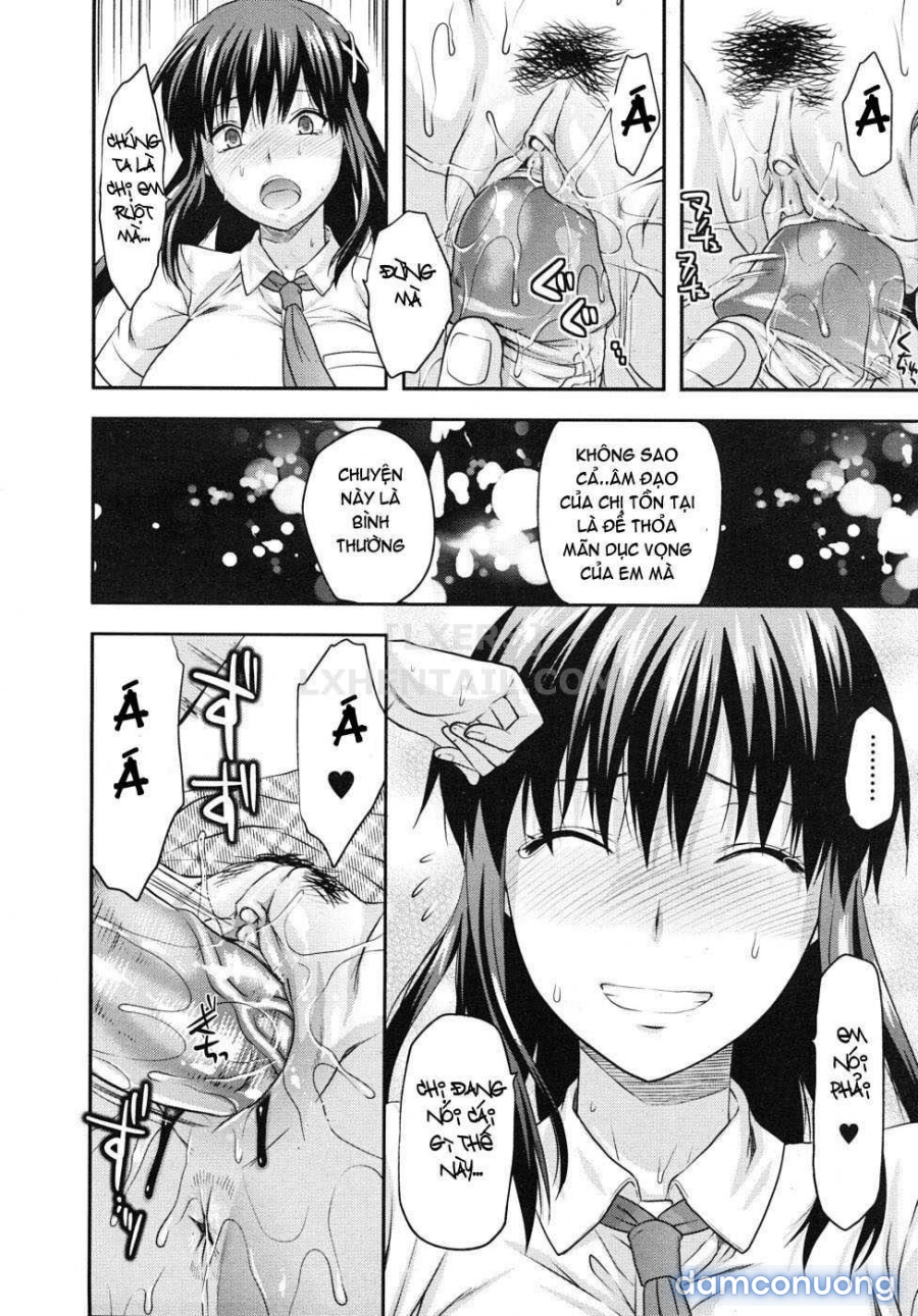 Elder Sister Control 