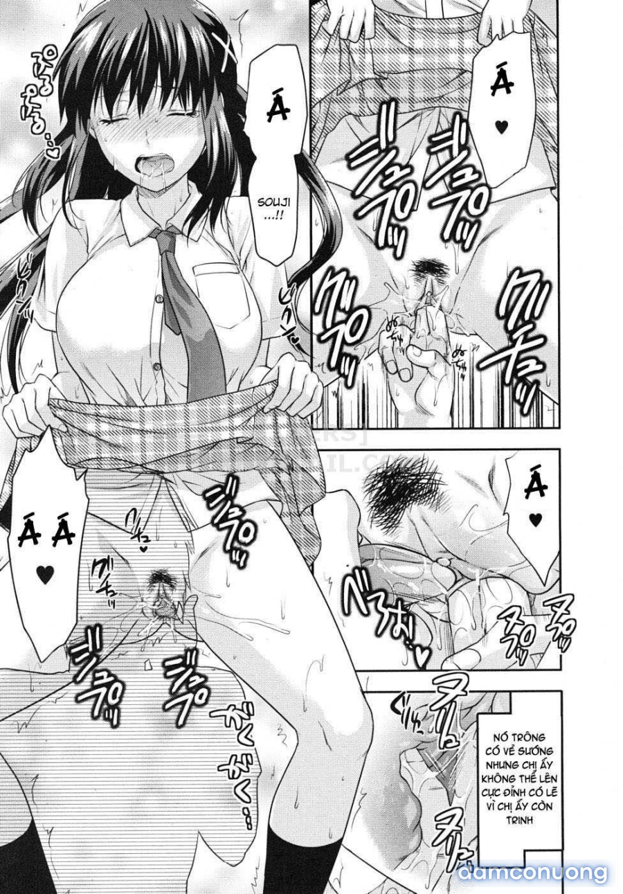 Elder Sister Control 