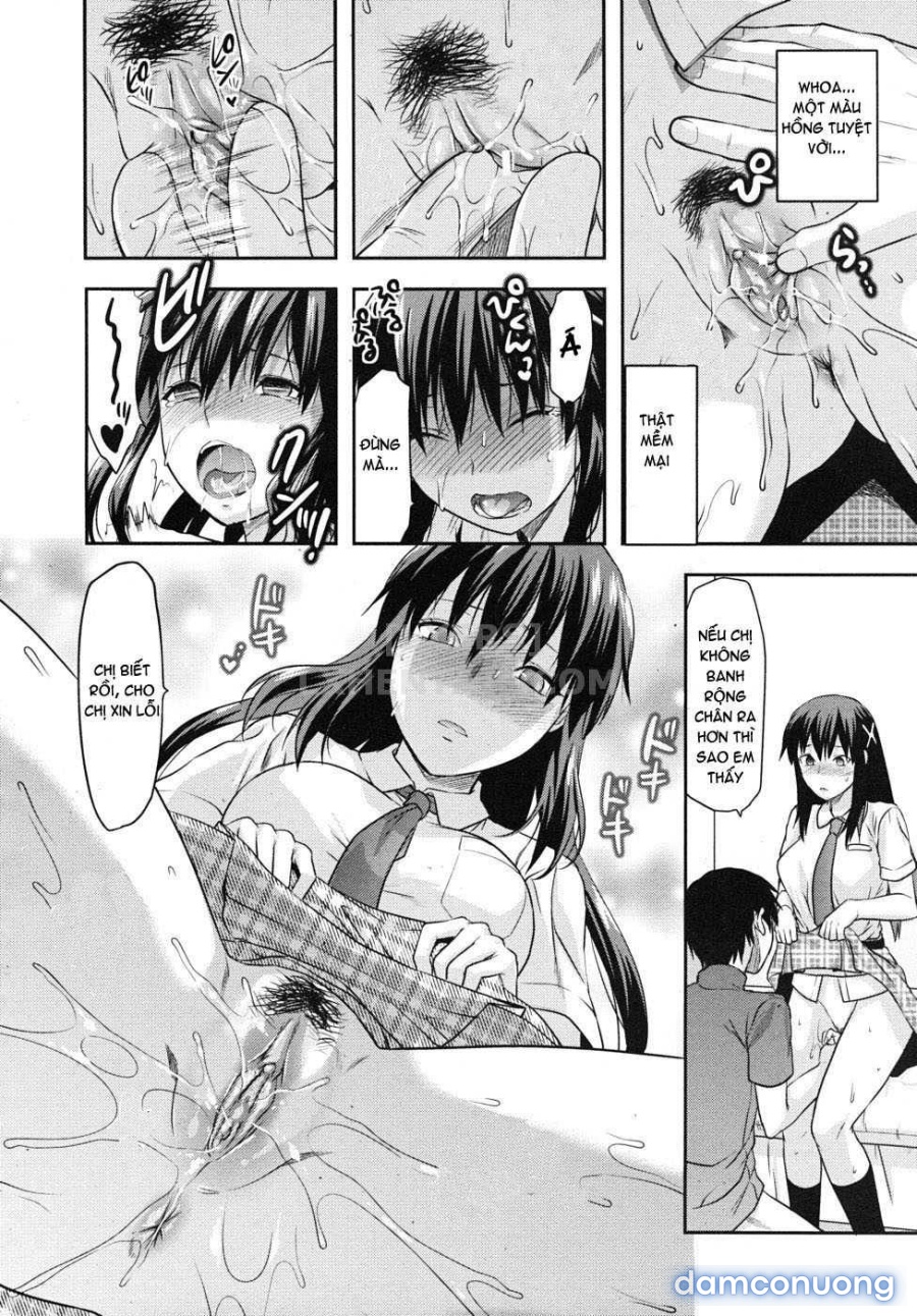 Elder Sister Control 