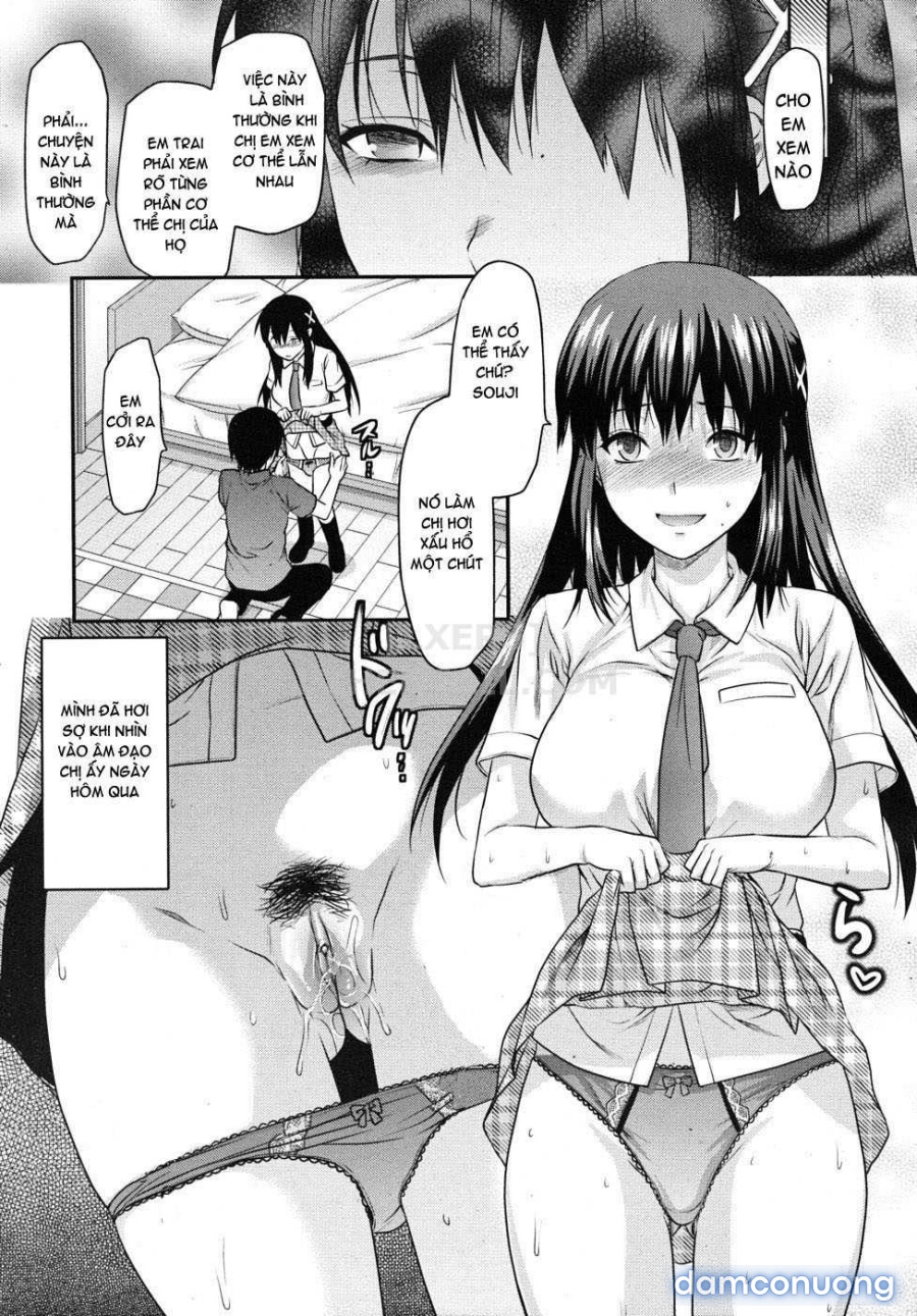 Elder Sister Control 