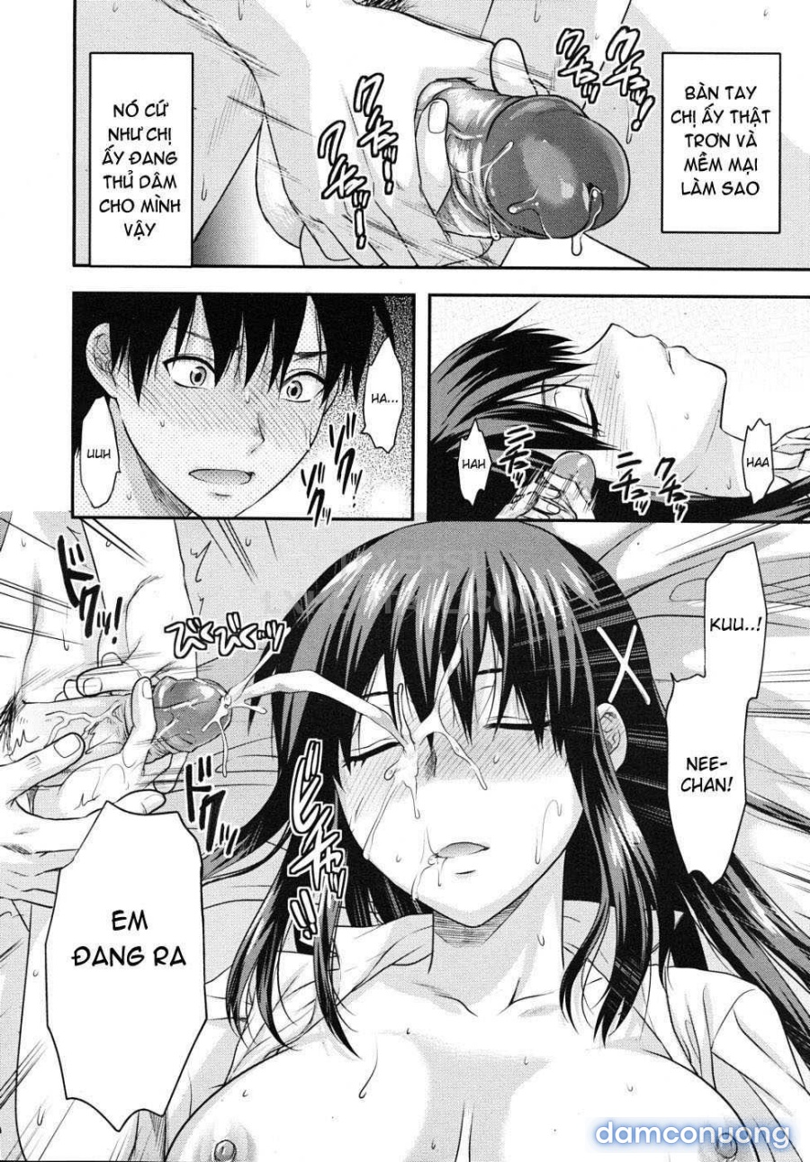 Elder Sister Control 