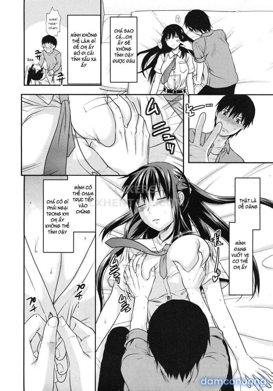 Elder Sister Control 