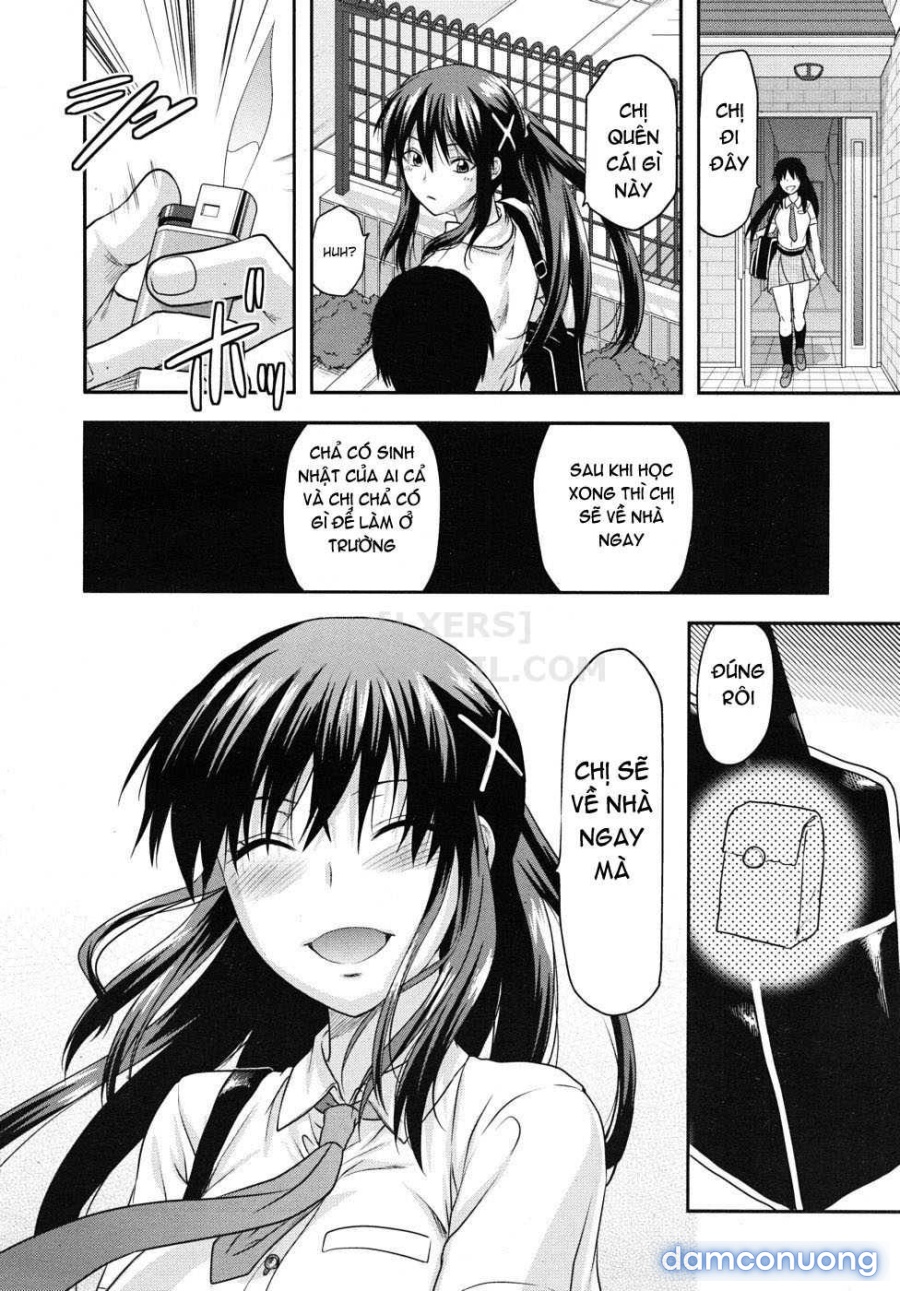 Elder Sister Control 