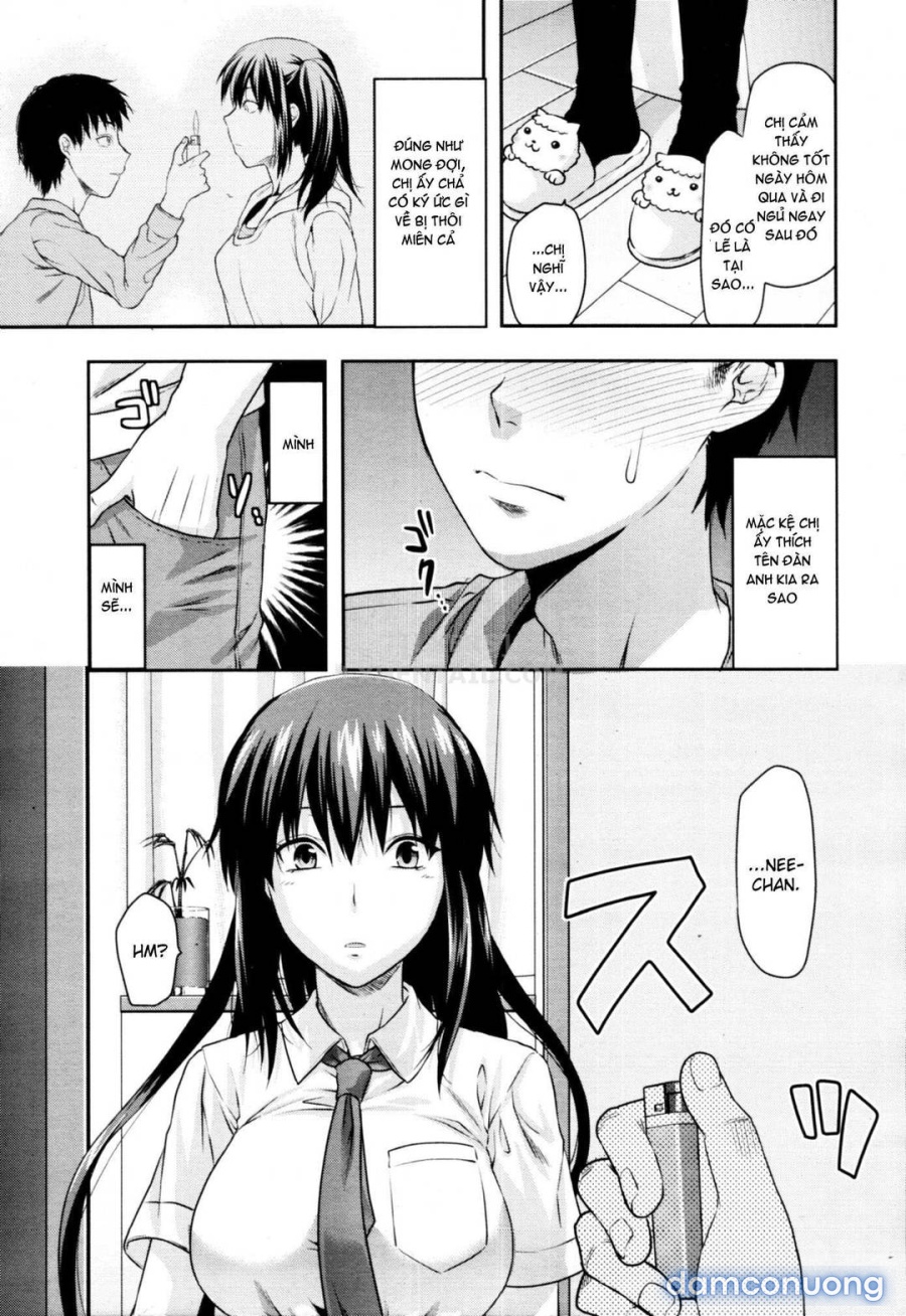 Elder Sister Control 