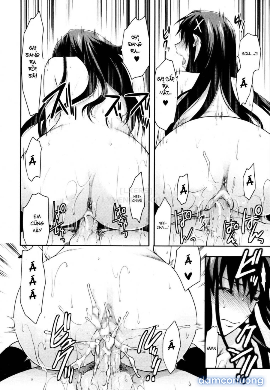 Elder Sister Control 