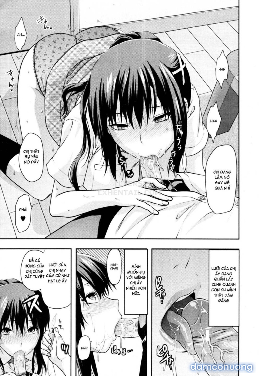 Elder Sister Control 