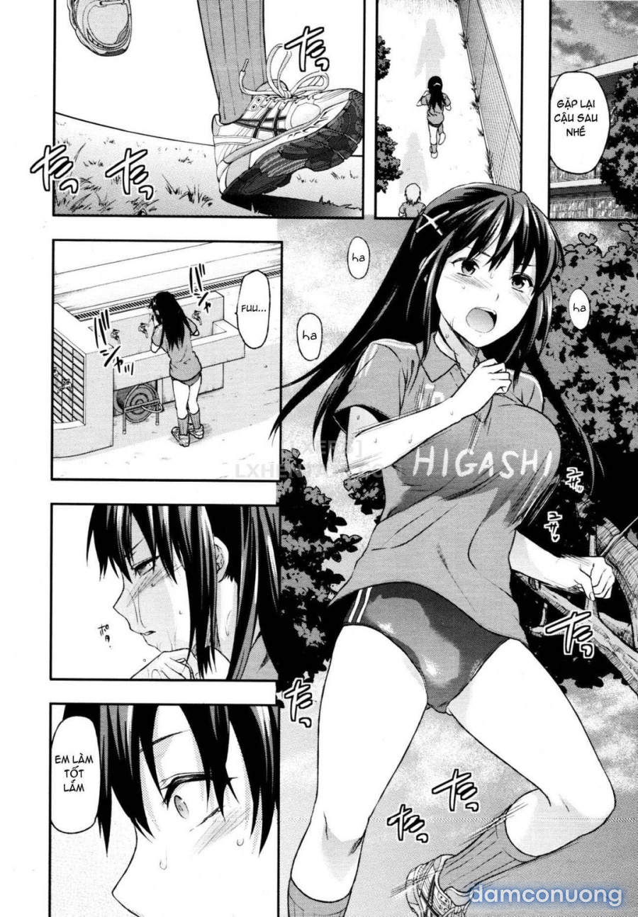 Elder Sister Control 