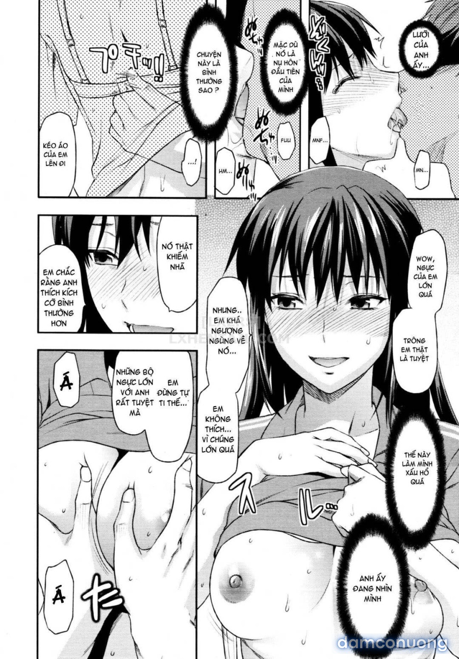 Elder Sister Control 