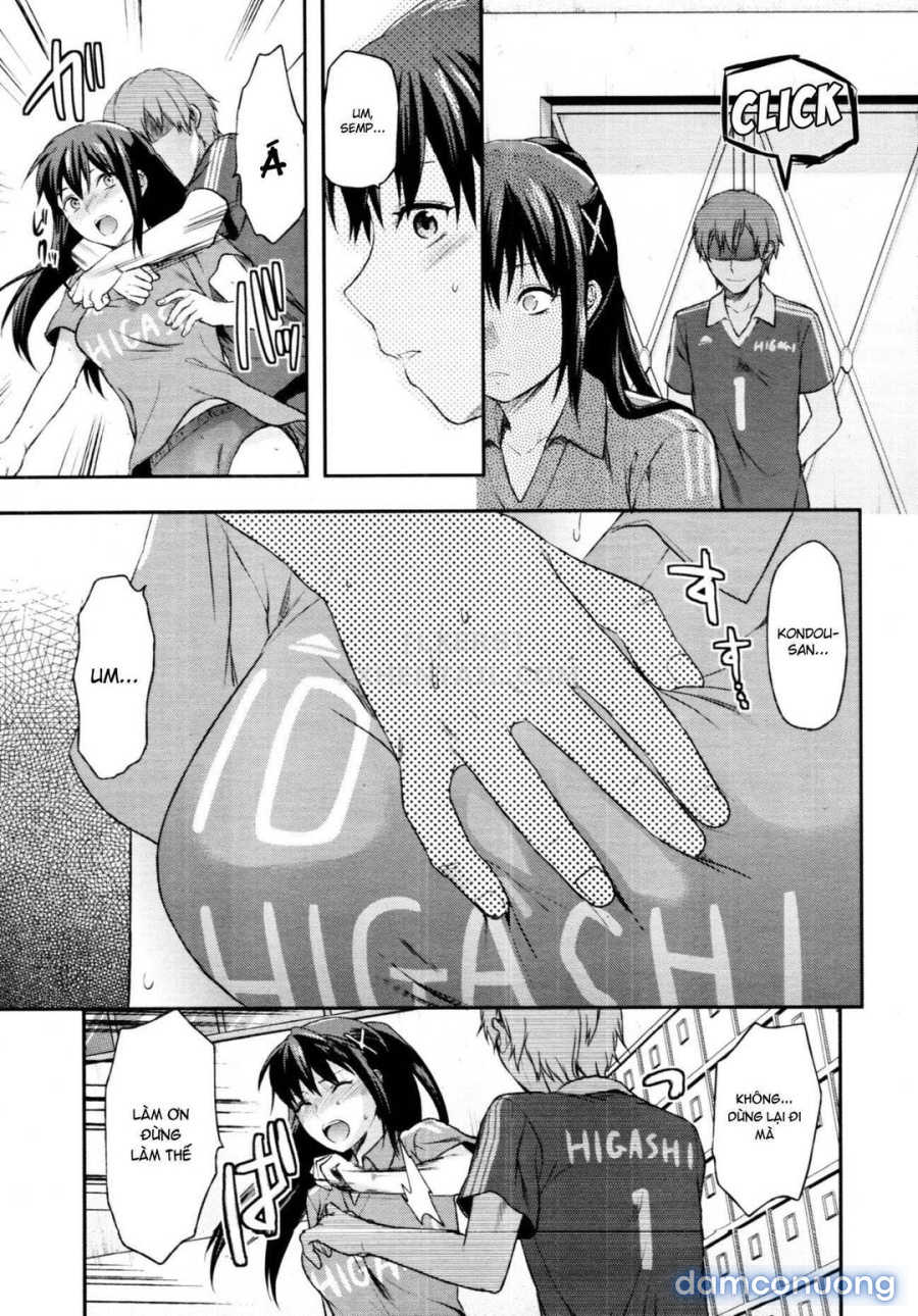 Elder Sister Control 