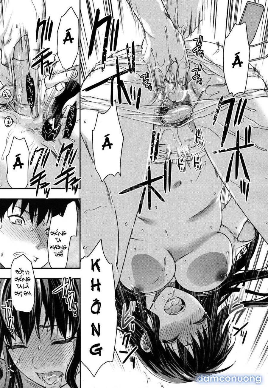 Elder Sister Control 