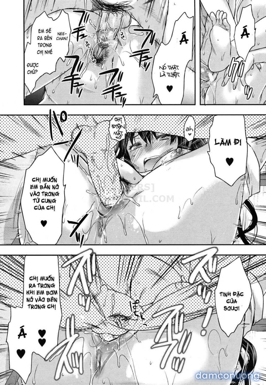 Elder Sister Control 