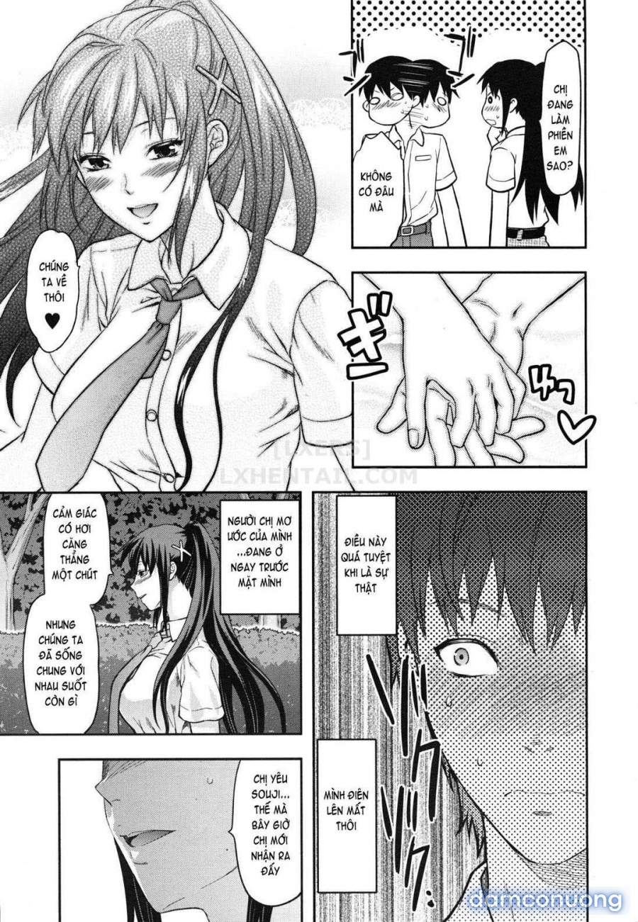 Elder Sister Control 
