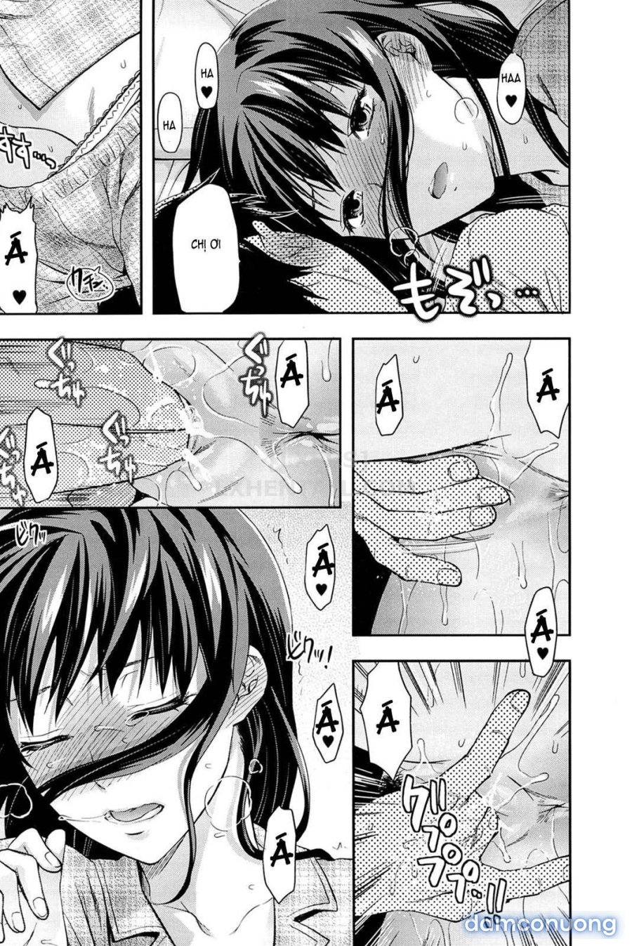 Elder Sister Control 
