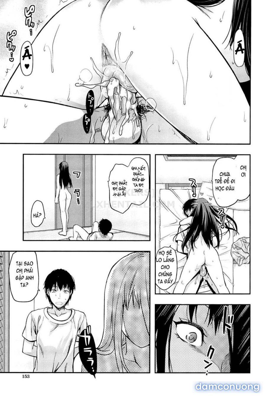 Elder Sister Control 