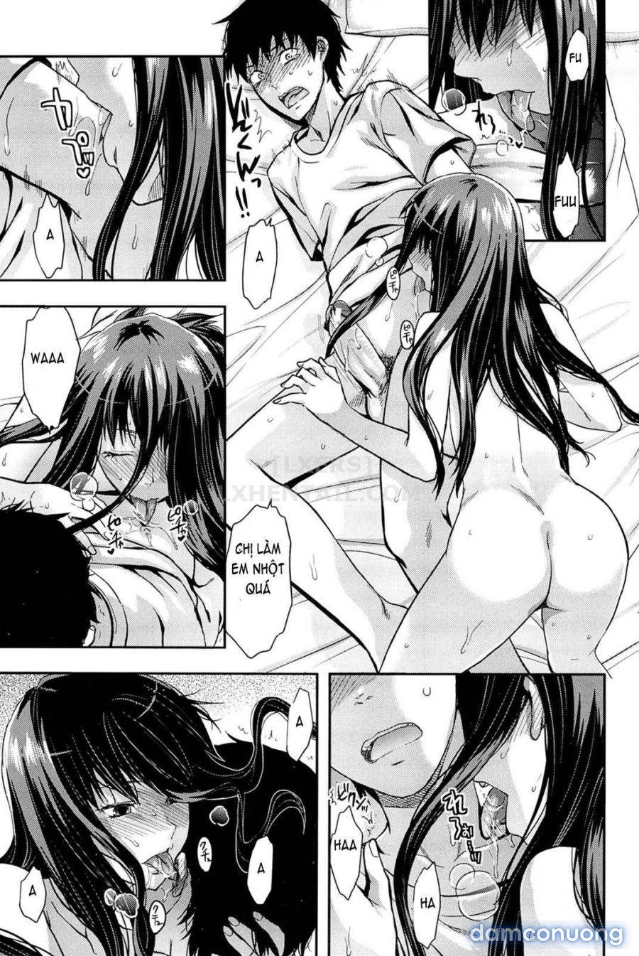 Elder Sister Control 