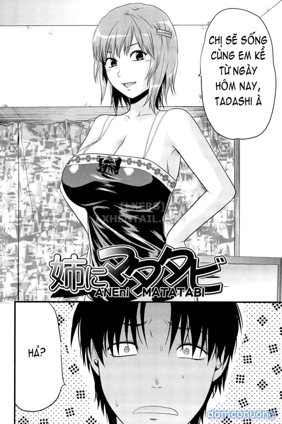 Elder Sister Control 
