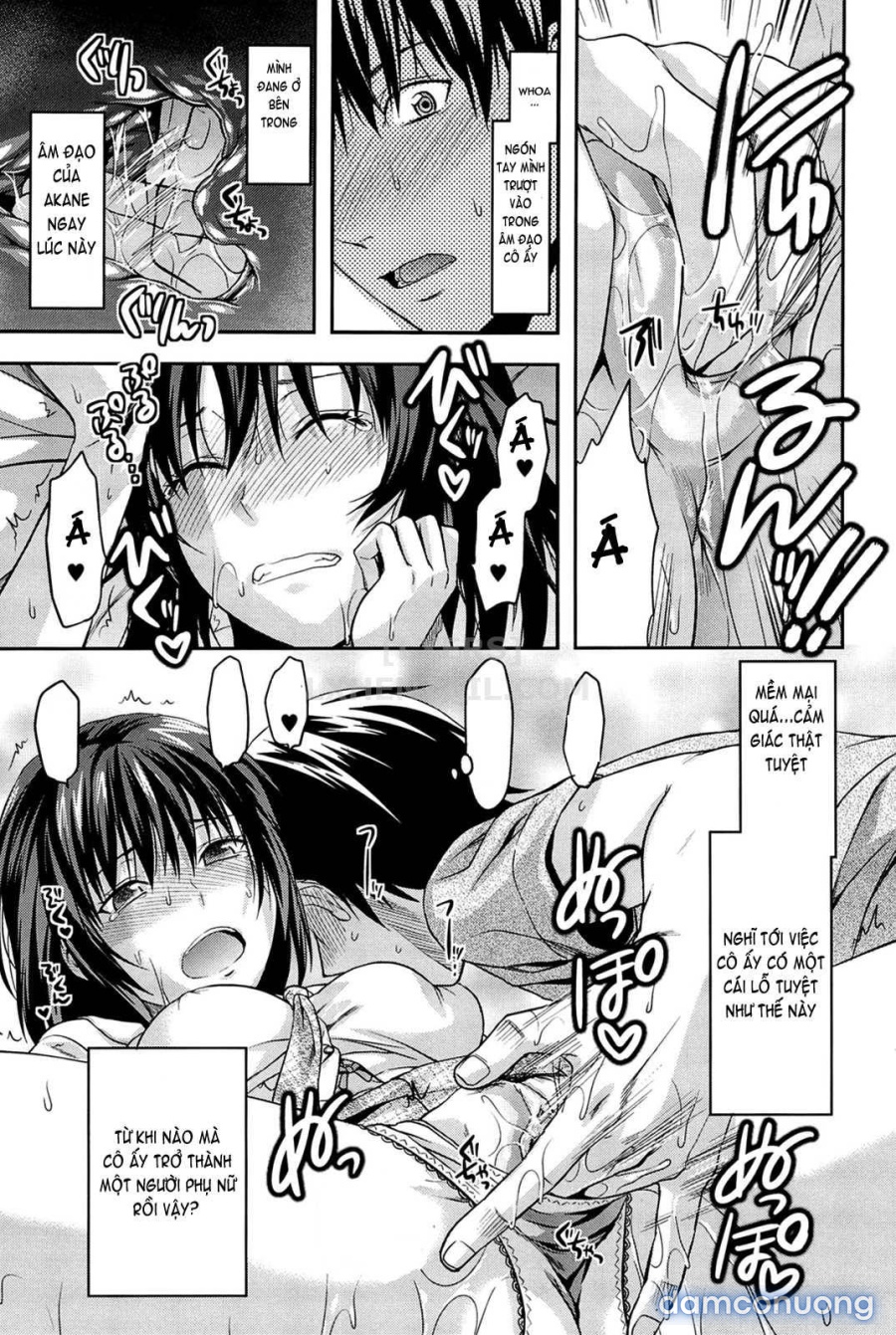 Elder Sister Control 