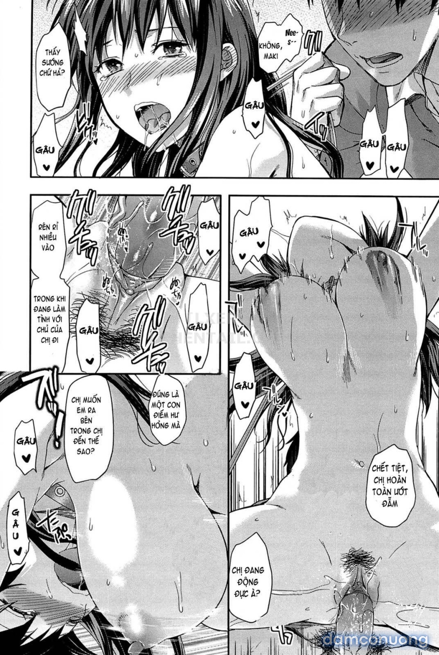 Elder Sister Control 