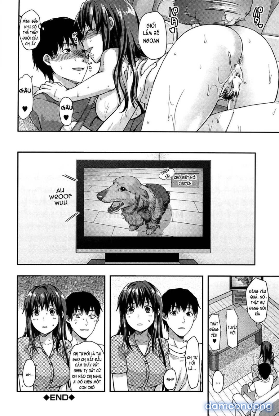 Elder Sister Control 