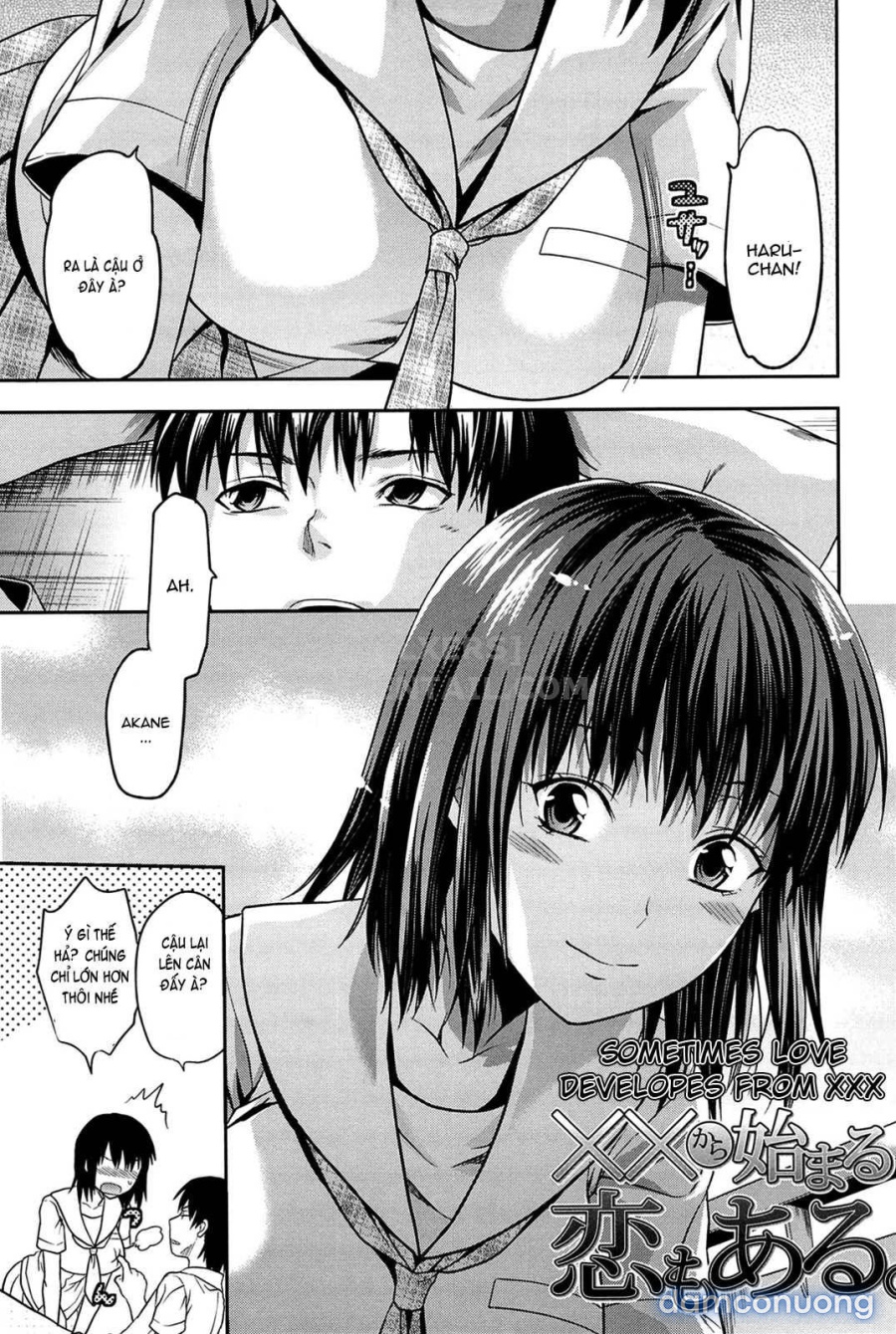 Elder Sister Control 